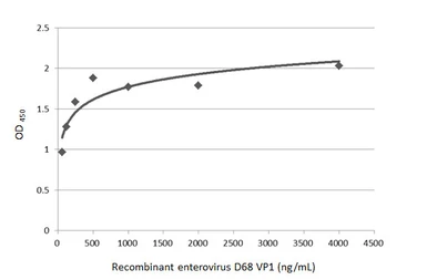 Anti-Enterovirus D68 VP1 antibody [GT1843] used in ELISA (ELISA). GTX633770