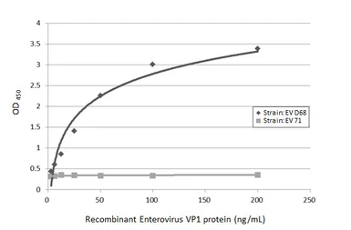 Anti-Enterovirus D68 VP1 antibody [GT1843] used in ELISA (ELISA). GTX633770