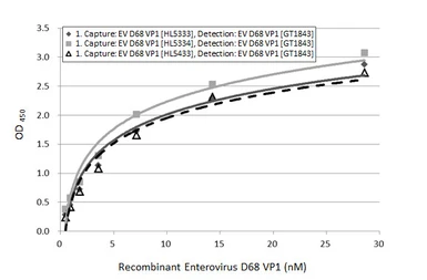 Anti-Enterovirus D68 VP1 antibody [GT1843] used in ELISA (ELISA). GTX633770