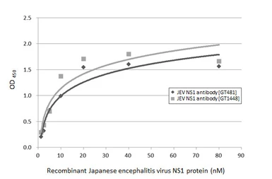 Anti-Japanese encephalitis virus NS1 antibody [GT481] used in ELISA (ELISA). GTX633812