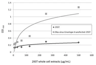 Anti-Zika virus Envelope protein antibody [GT871] used in ELISA (ELISA). GTX634157