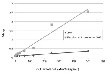 Anti-Zika virus NS1 protein antibody [GT5212] used in ELISA (ELISA). GTX634158