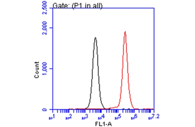Anti-IKK beta antibody [GT685] used in Flow cytometry (FCM). GTX634834