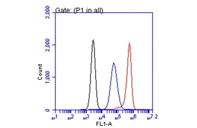 Anti-CA19-9 antibody [GT174] used in Flow cytometry (FCM). GTX635388
