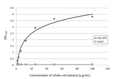 Anti-CA19-9 antibody [GT8510] used in ELISA (ELISA). GTX635391