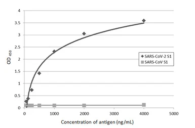 Anti-SARS-CoV-2 (COVID-19) Spike S1 antibody [HL6] used in ELISA (ELISA). GTX635654