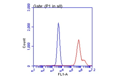 Anti-SARS-CoV-2 (COVID-19) Spike S1 antibody [HL6] used in Flow cytometry (FCM). GTX635654