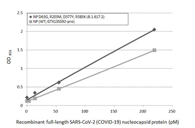 Anti-SARS-CoV-2 (COVID-19) Nucleocapsid antibody [HL5410] used in ELISA (ELISA). GTX635685
