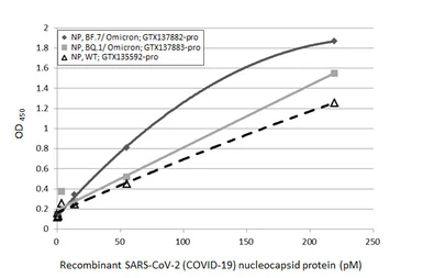 Anti-SARS-CoV-2 (COVID-19) Nucleocapsid antibody [HL448] used in ELISA (ELISA). GTX635686