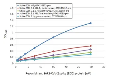 Anti-SARS-CoV-2 (COVID-19) Spike S1 antibody [HL13402] used in ELISA (ELISA). GTX635713