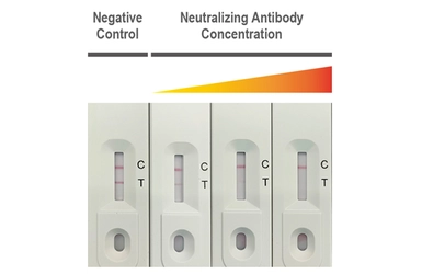 Anti-SARS-CoV-2 (COVID-19) Spike RBD antibody [HL1002] used in Neutralizing/Blocking/Inhibition (Neutralizing /Inhibition). GTX635791