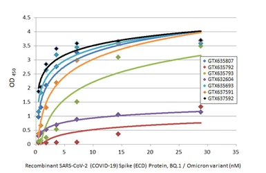 Anti-SARS-CoV-2 (COVID-19) Spike RBD antibody [HL1003] used in ELISA (ELISA). GTX635792
