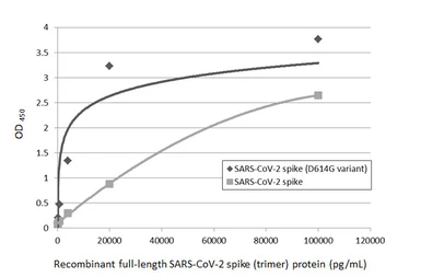 Anti-SARS-CoV-2 (COVID-19) Spike RBD antibody [HL1014] used in ELISA (ELISA). GTX635807