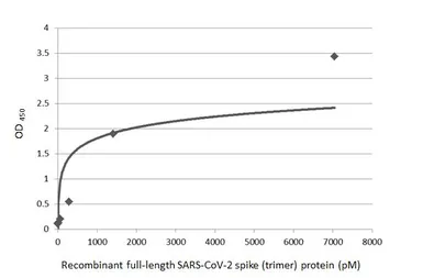 Anti-SARS-CoV-2 (COVID-19) Spike RBD antibody [HL1014] used in ELISA (ELISA). GTX635807