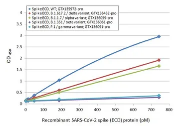 Anti-SARS-CoV-2 (COVID-19) Spike RBD antibody [HL1014] used in ELISA (ELISA). GTX635807