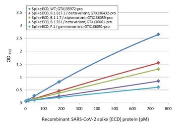 Anti-SARS-CoV-2 (COVID-19) Spike RBD antibody [HL1014] used in ELISA (ELISA). GTX635807