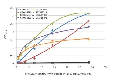 Anti-SARS-CoV-2 (COVID-19) Spike RBD antibody [HL1014] used in ELISA (ELISA). GTX635807