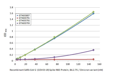 Anti-SARS-CoV-2 (COVID-19) Spike RBD antibody [HL1014] used in ELISA (ELISA). GTX635807
