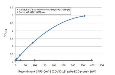 Anti-SARS-CoV-2 (COVID-19) Spike RBD antibody [HL1014] used in ELISA (ELISA). GTX635807