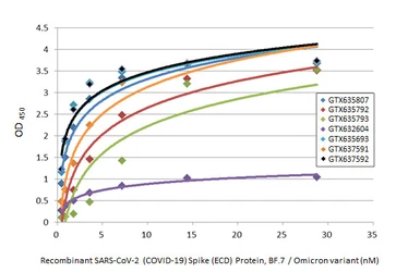 Anti-SARS-CoV-2 (COVID-19) Spike RBD antibody [HL1014] used in ELISA (ELISA). GTX635807