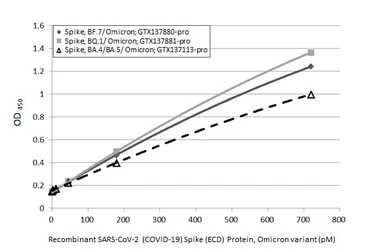 Anti-SARS-CoV-2 (COVID-19) Spike RBD antibody [HL1014] used in ELISA (ELISA). GTX635807