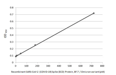Anti-SARS-CoV-2 (COVID-19) Spike RBD antibody [HL1014] used in ELISA (ELISA). GTX635807