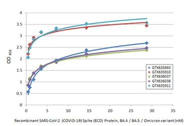 Anti-SARS-CoV-2 (COVID-19) Spike S2 antibody [GT745] used in ELISA (ELISA). GTX636037