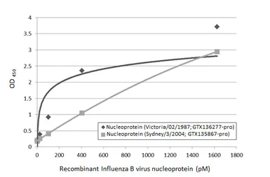 Anti-Influenza B virus Nucleoprotein antibody [HL1073] used in ELISA (ELISA). GTX636194
