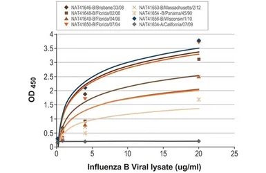 Anti-Influenza B virus Nucleoprotein antibody [HL1073] used in ELISA (ELISA). GTX636194