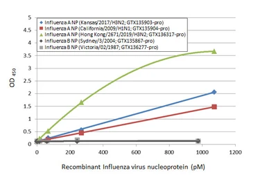 Anti-Influenza A virus Nucleoprotein antibody [HL1089] used in ELISA (ELISA). GTX636247