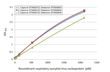 Anti-Respiratory Syncytial virus Nucleoprotein antibody [HL1246] used in ELISA (ELISA). GTX636648