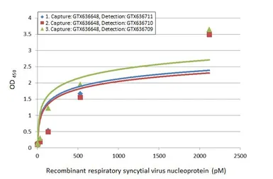 Anti-Respiratory Syncytial virus Nucleoprotein antibody [HL1246] used in ELISA (ELISA). GTX636648