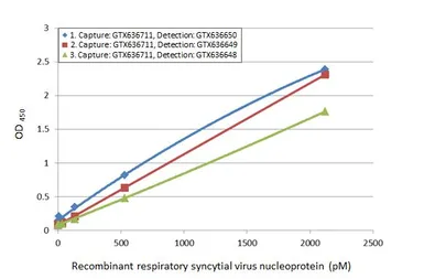 Anti-Respiratory Syncytial virus Nucleoprotein antibody [HL1247] used in ELISA (ELISA). GTX636649
