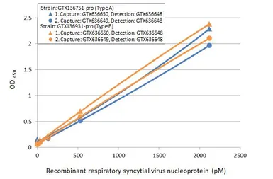 Anti-Respiratory Syncytial virus Nucleoprotein antibody [HL1248] used in ELISA (ELISA). GTX636650