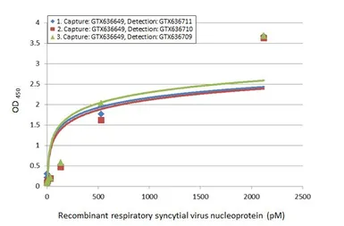 Anti-Respiratory Syncytial virus Nucleoprotein antibody [HL1295] used in ELISA (ELISA). GTX636709