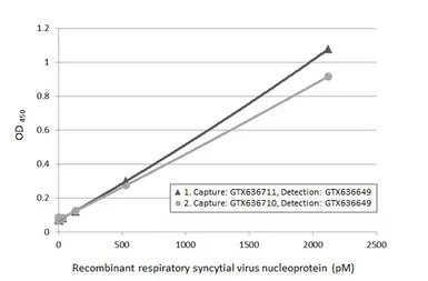 Anti-Respiratory Syncytial virus type A Nucleoprotein antibody [HL1297] used in ELISA (ELISA). GTX636711
