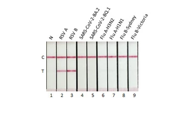 Anti-Respiratory Syncytial virus Nucleoprotein antibody [HL2180] used in Lateral Flow (Lateral Flow). GTX638184