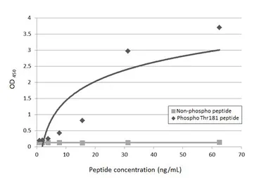 Anti-Tau (phospho Thr181) antibody [HL2498] used in ELISA (ELISA). GTX638856
