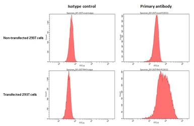 Anti-Rhodopsin antibody [HL2668] used in Flow cytometry (FCM). GTX639332