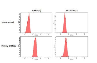 Anti-CXCR4 antibody [HL2734] used in Flow cytometry (FCM). GTX639562