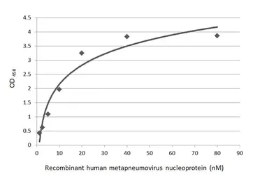 Anti-Human metapneumovirus Nucleoprotein antibody [HL2921] used in ELISA (ELISA). GTX640264