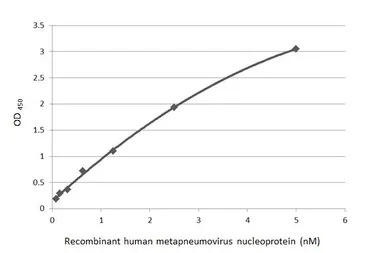 Anti-Human metapneumovirus Nucleoprotein antibody [HL2921] used in ELISA (ELISA). GTX640264