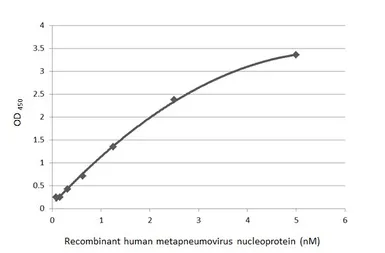 Anti-Human metapneumovirus Nucleoprotein antibody [HL2924] used in ELISA (ELISA). GTX640267