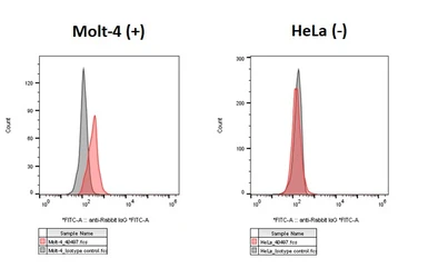 Anti-CCR9 antibody [HL3054] used in Flow cytometry (FCM). GTX640497