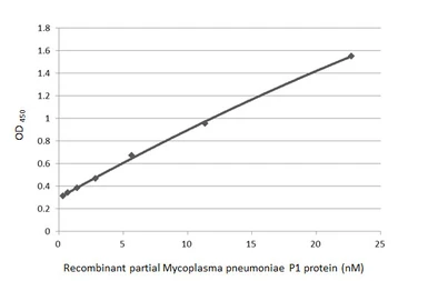 Anti-Mycoplasma pneumoniae P1 protein antibody [HL3203] used in ELISA (ELISA). GTX640843