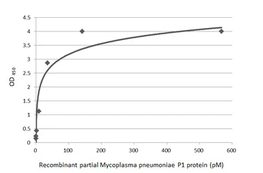 Anti-Mycoplasma pneumoniae P1 protein antibody [HL3204] used in ELISA (ELISA). GTX640844