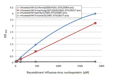 Anti-Influenza A virus Nucleoprotein antibody [GT23] used in ELISA (ELISA). GTX641086