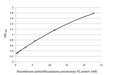 Anti-Mycoplasma pneumoniae P1 protein antibody [GT50] used in ELISA (ELISA). GTX641374