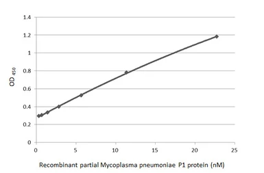 Anti-Mycoplasma pneumoniae P1 protein antibody [GT50] used in ELISA (ELISA). GTX641374