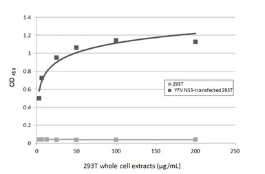Anti-Yellow Fever virus NS3 protein antibody [HL3702] used in ELISA (ELISA). GTX641874